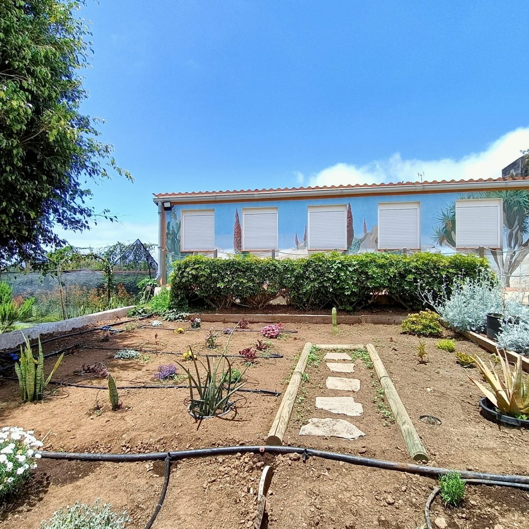 Jardin 2 | Viveros Laumar